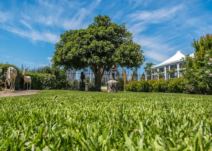 住宿加早餐酒店 Le Dune - Self Check In 3*