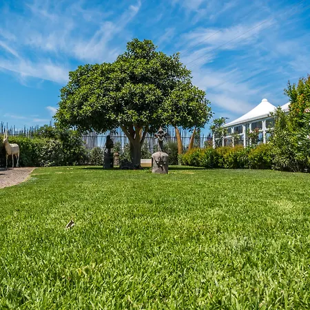 Le Dune - Self Check In 3*